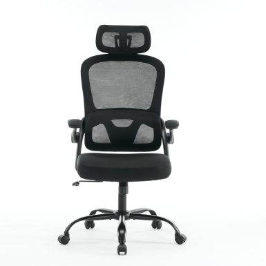 Ergonomic Mesh Office Chair, High Back Desk Chair with 3D Armrests, Up&Down Lumbar Support, Swivel Computer Task Chair with Adjustable 2D Headrest, Tilt Function Black